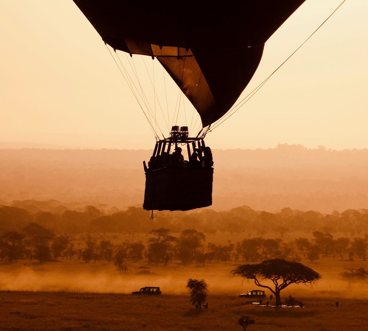 8 Days Tanzania Safari Royal Tour to Serengeti, Tarangire, and Ngorongoro Crater